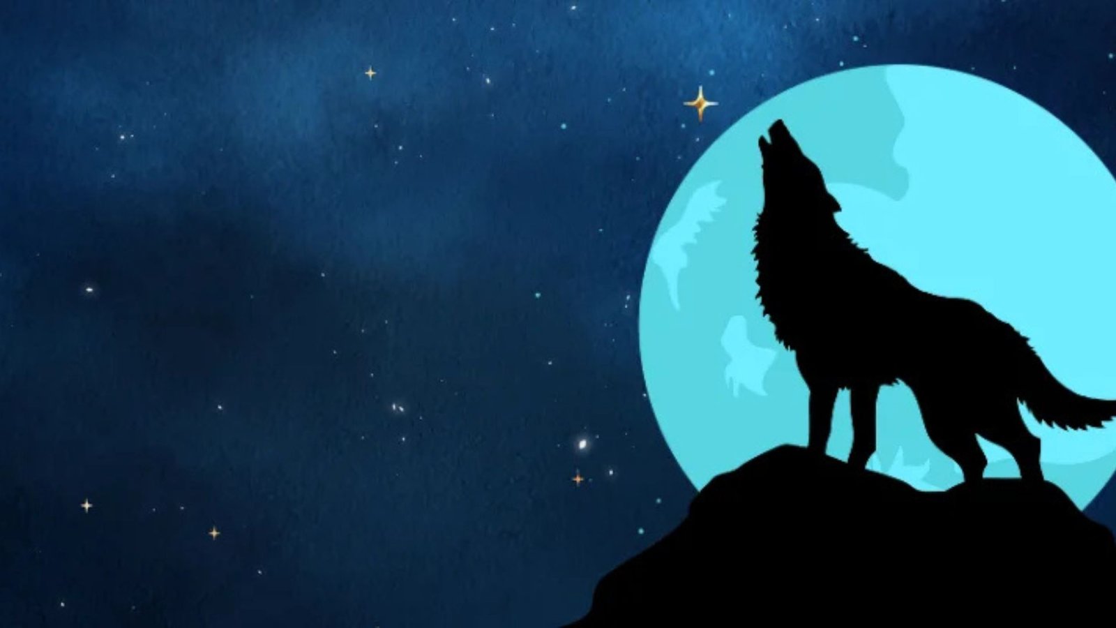 Wolf Winner Casino Australia Withdrawal Methods